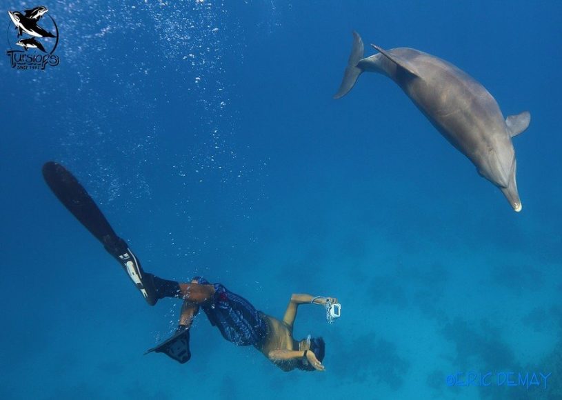 Défenseur de l’Océan : Eric DEMAY, l’homme dauphin