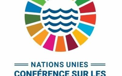 UNOC 2025 : Des propositions communes pour l’Océan