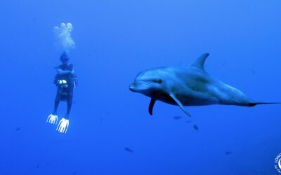 Rétrospective médias fin 2024 : la Voix de l’Océan en marche !!